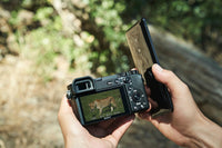 Sony Alpha 6600 Mirrorless Camera (Body)